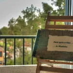 Old Town Apartment Funchal (Madeira)